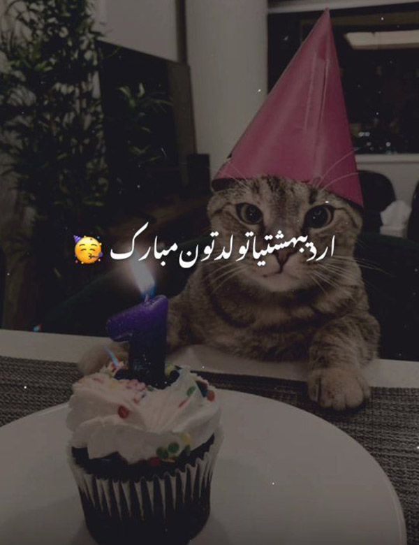 متن تبریک تولد اردیبهشت ماهی