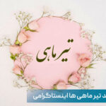 متن تبریک تولد تیر ماهی